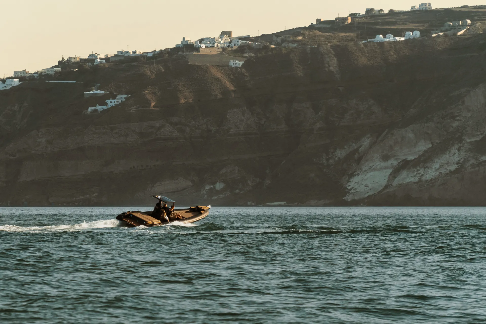 Black-Swan-22-web (1)