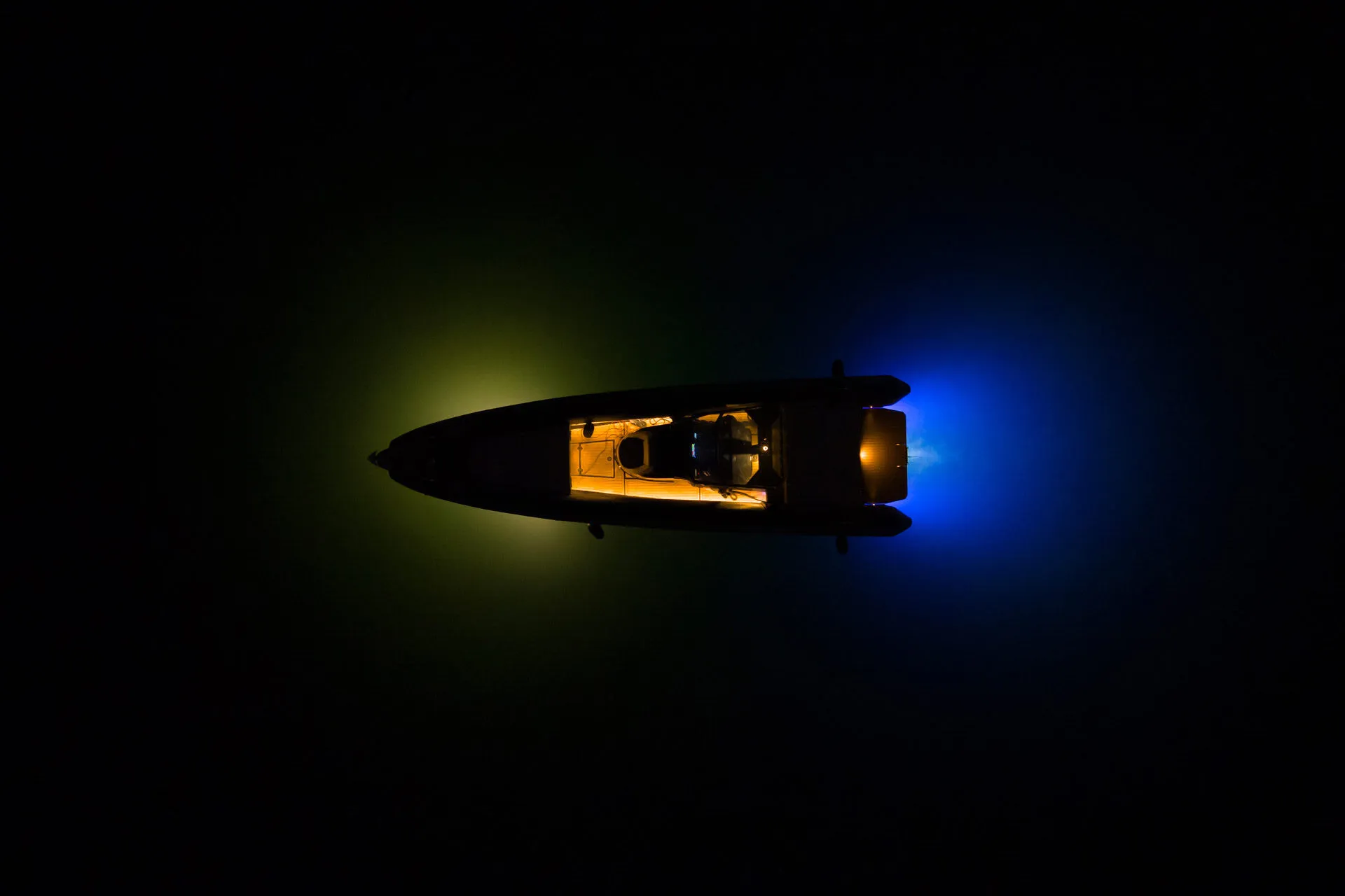 Black-Swan-34-web-e1672165889157-1-e1672236357503